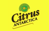 Citrus Antarctica